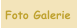 Foto Galerie