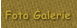 Foto Galerie