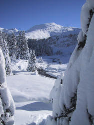 Schneeschuwandern auf 1.620 Meter