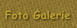Foto Galerie
