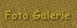Foto Galerie