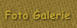 Foto Galerie