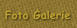Foto Galerie