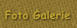 Foto Galerie